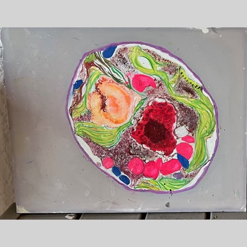 eukaryote
